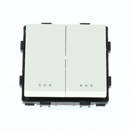 Doppio interruttore singolo 10A