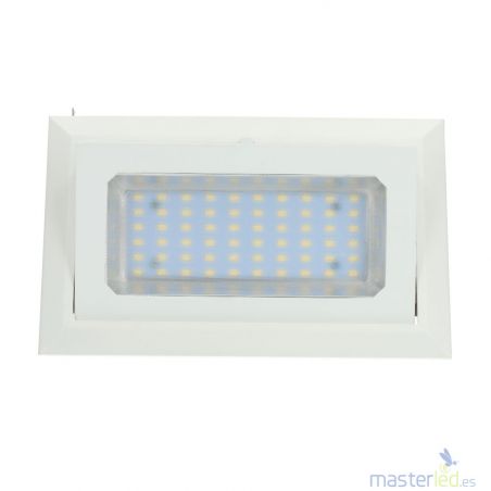 Proyector Techo  cuadrado orientable 30W